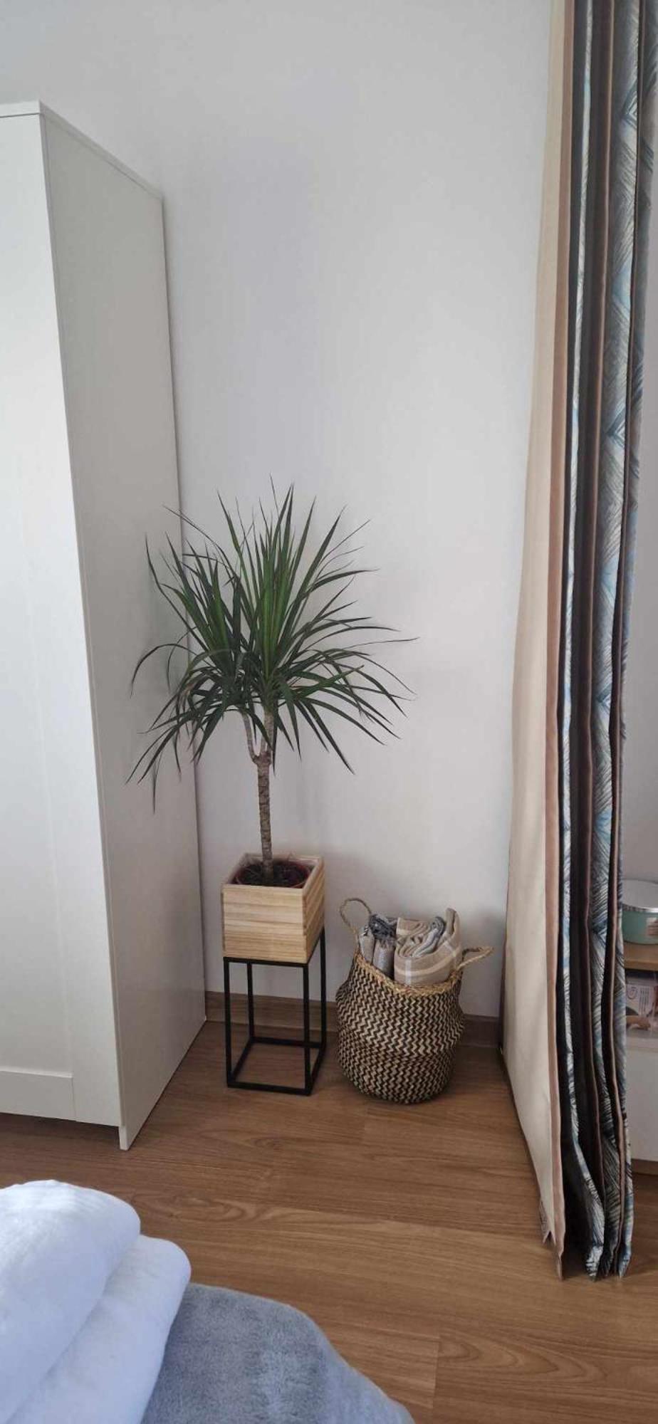 Студио Тони 2 Varna Extérieur photo